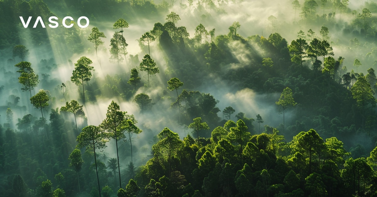 Weelderig groen bos met mist en zonlicht.