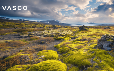 Is een vakantie naar IJsland in juni een goed idee?