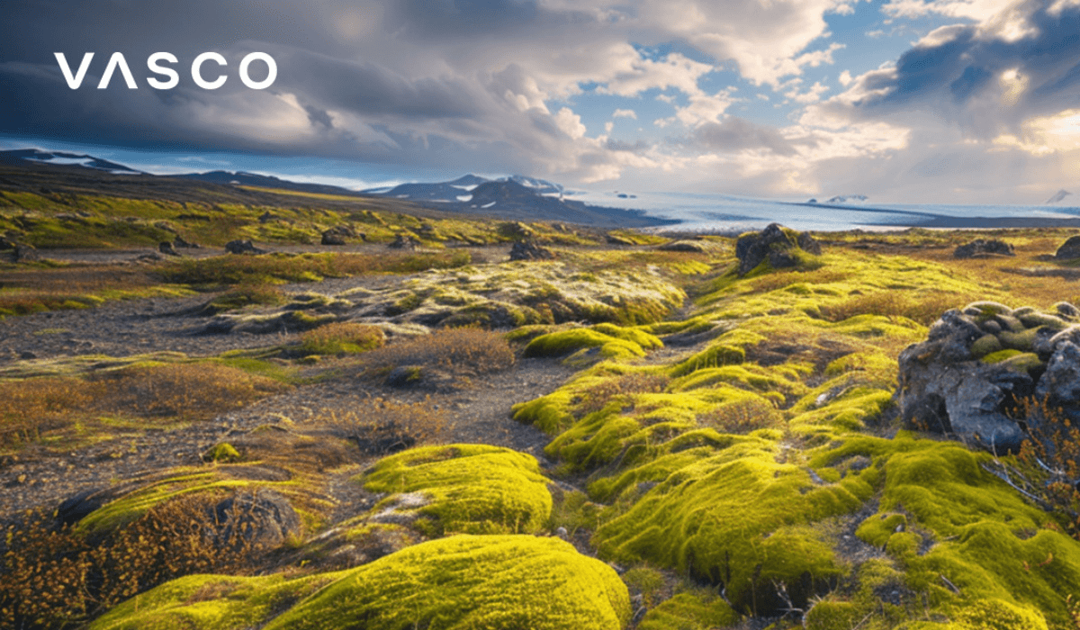 De foto van een IJslands ruige landschap.