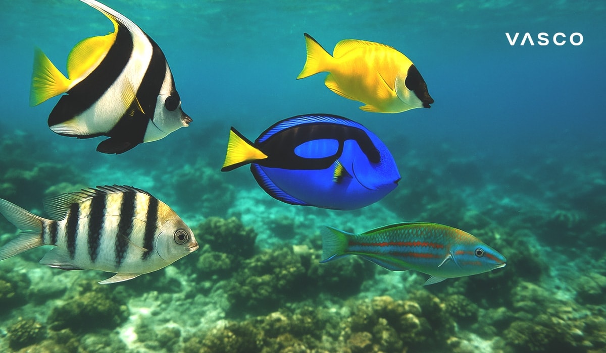 Kleurrijke tropische vissen, zwemmen in het heldere oceaanwater boven een koraalrif.